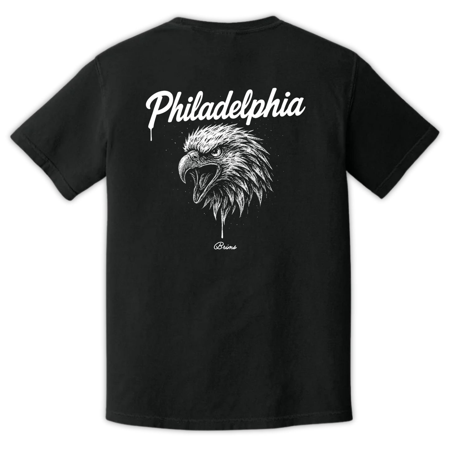 Philadelphia - Gridiron City
