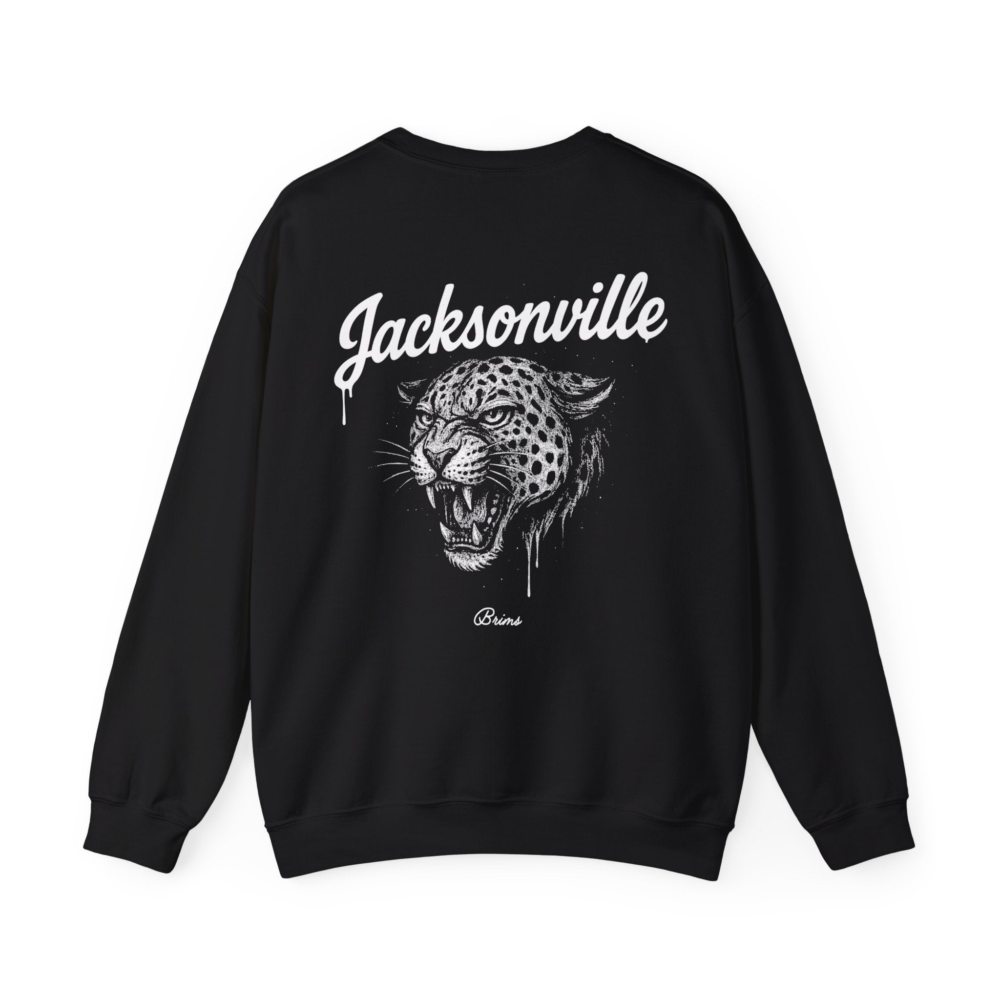 Gridiron City - Jacksonville