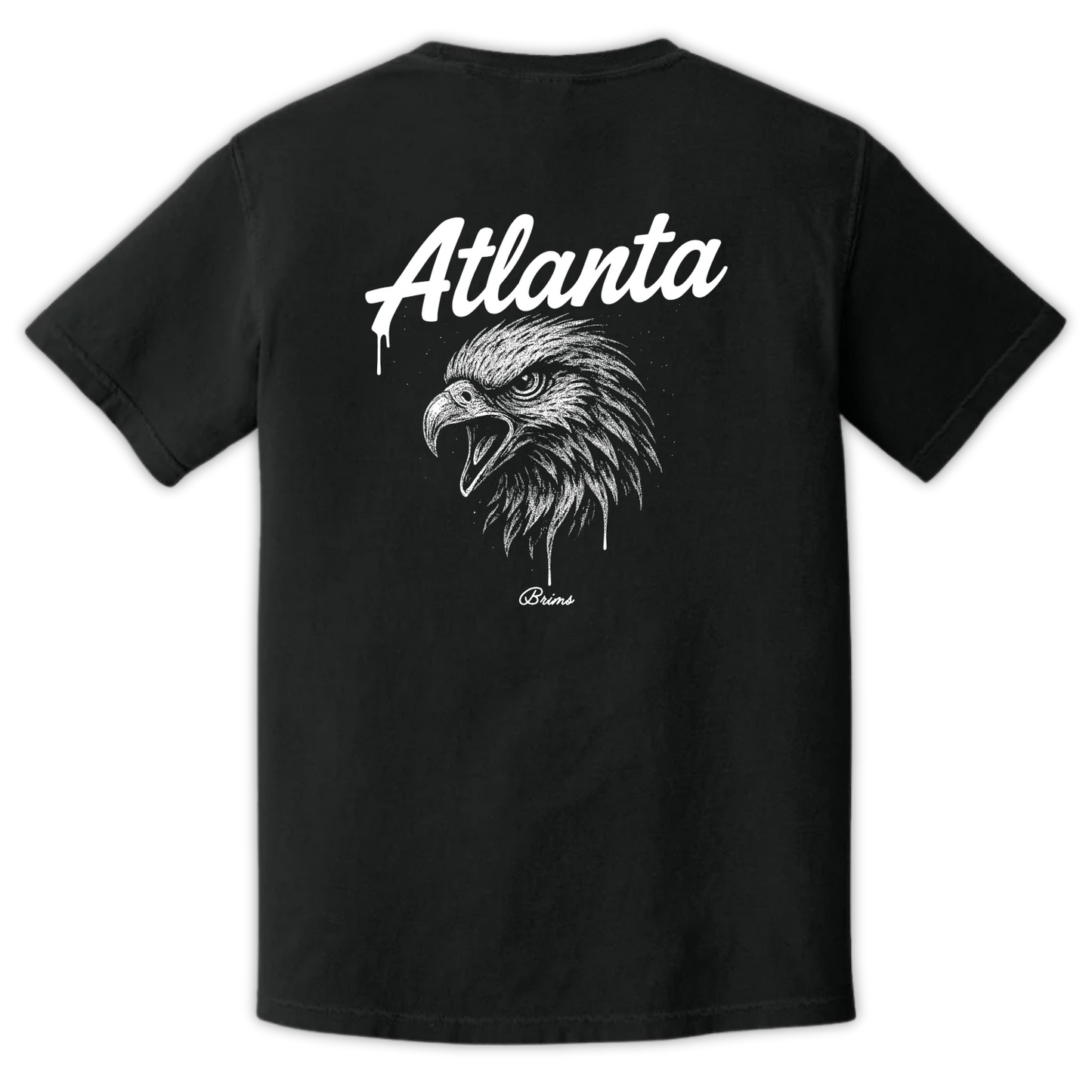 Atlanta - Gridiron City