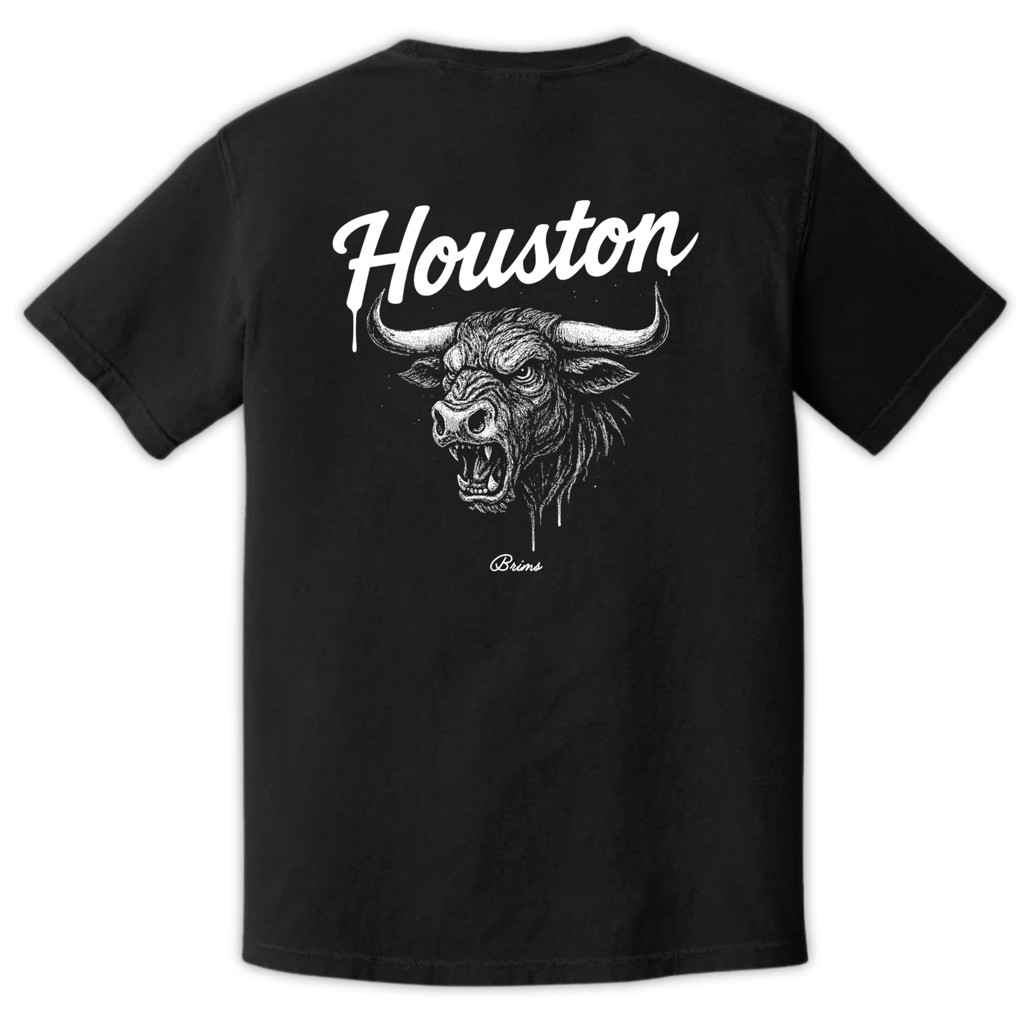 Houston - Gridiron City