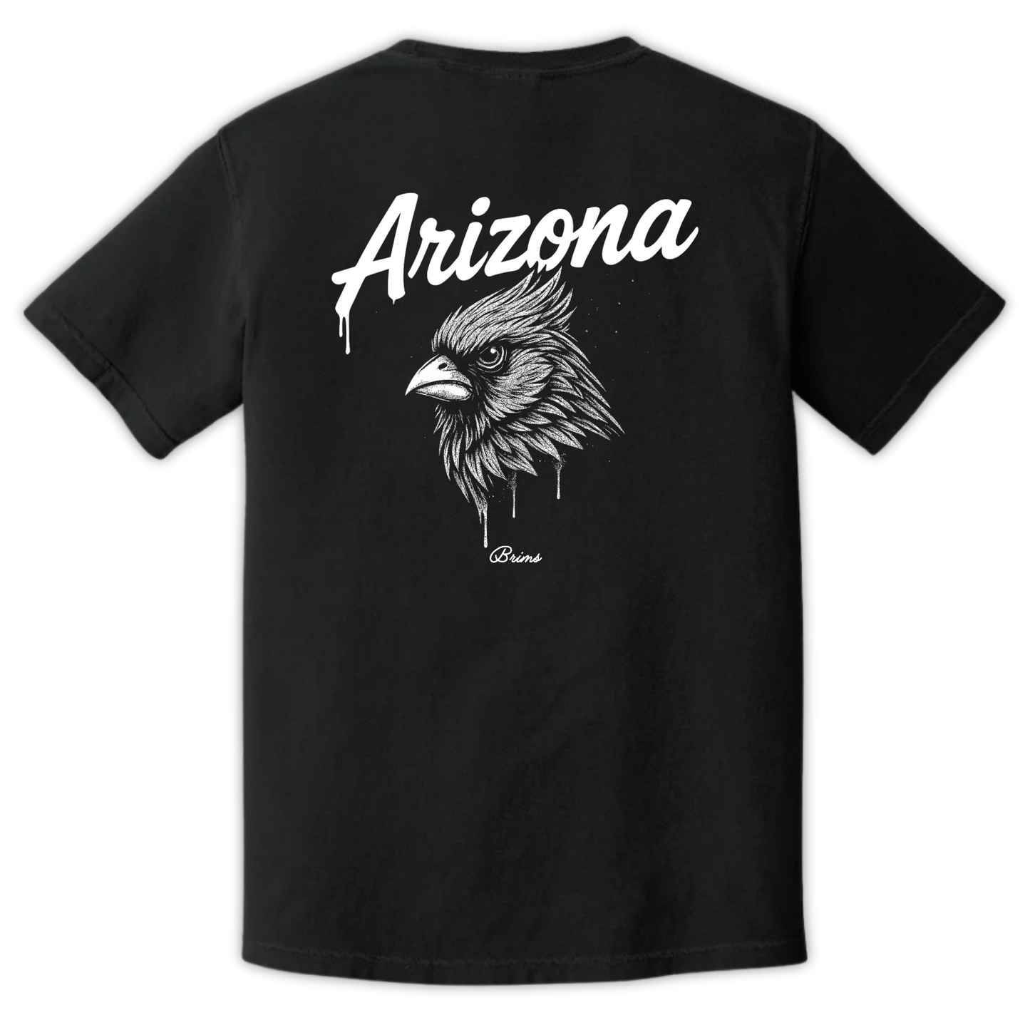Arizona - Gridiron City