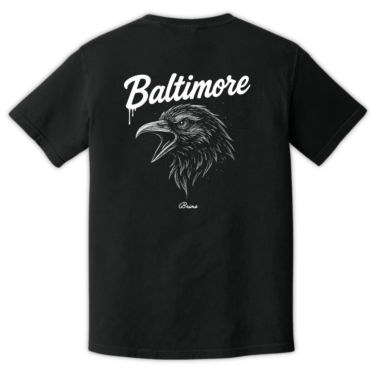 Baltimore - Gridiron City
