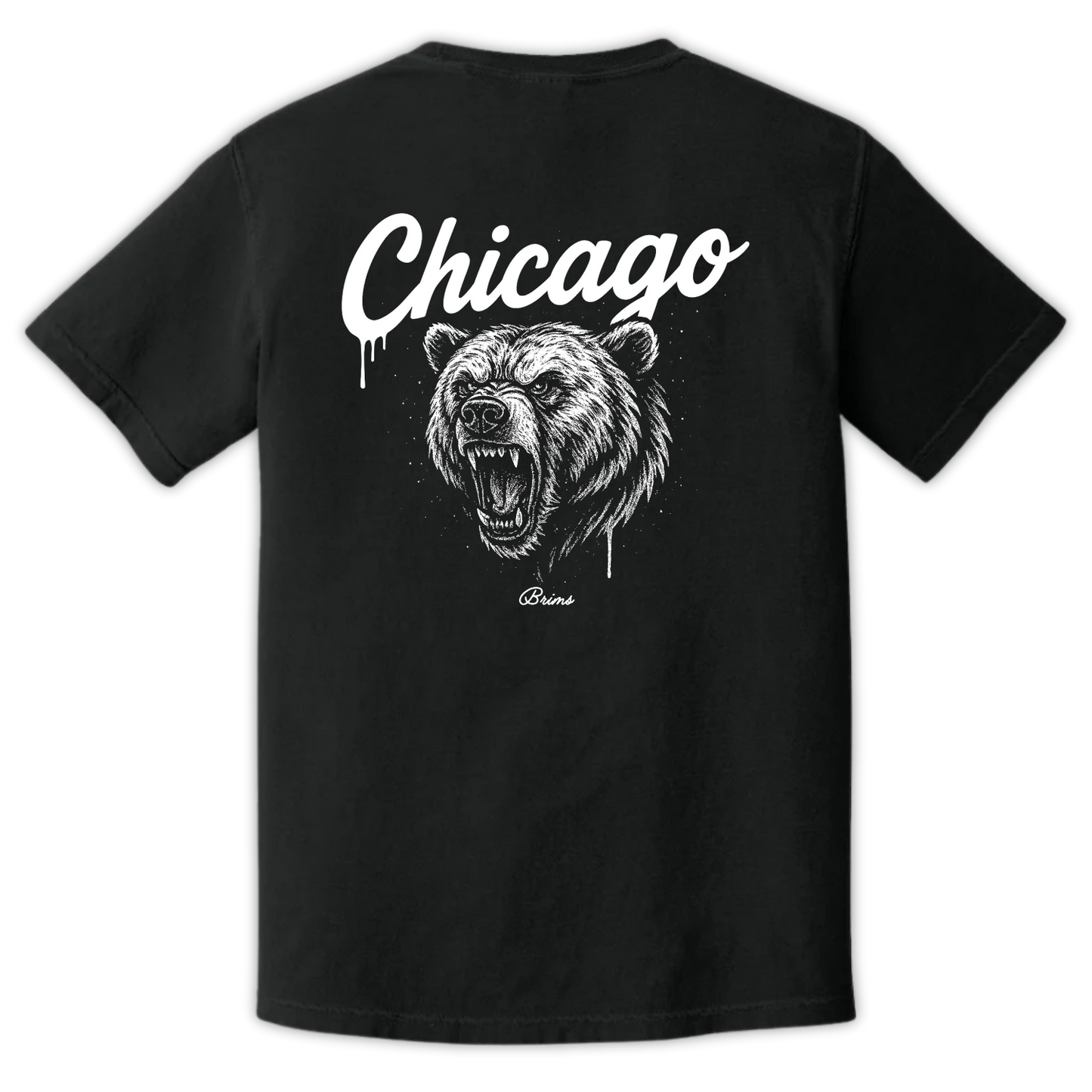 Chicago - Gridiron City