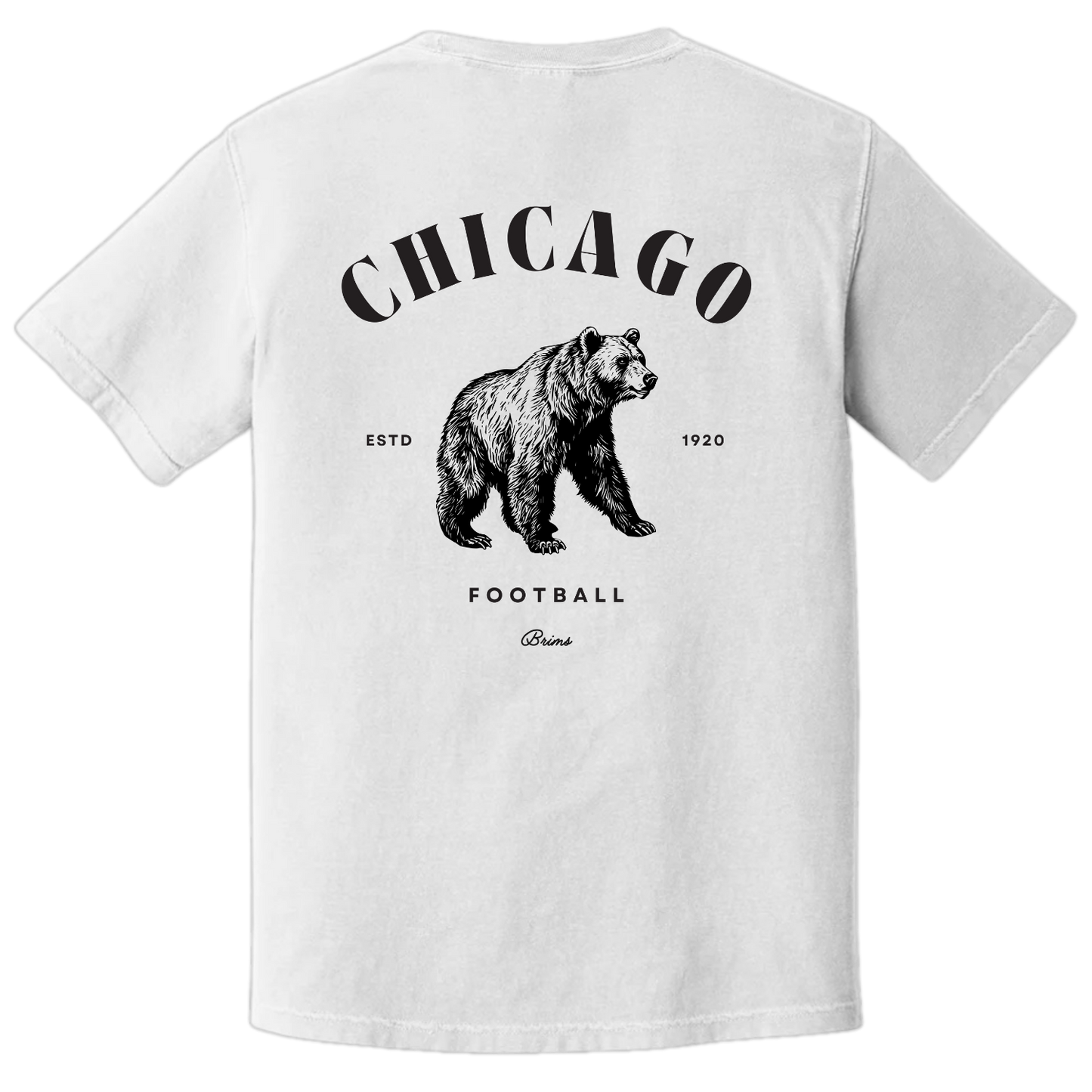 Chicago - Hometown Classic