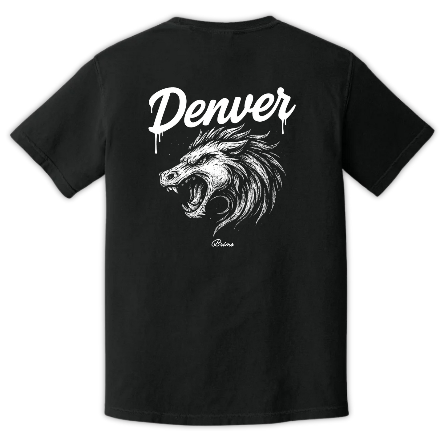 Denver - Gridiron City