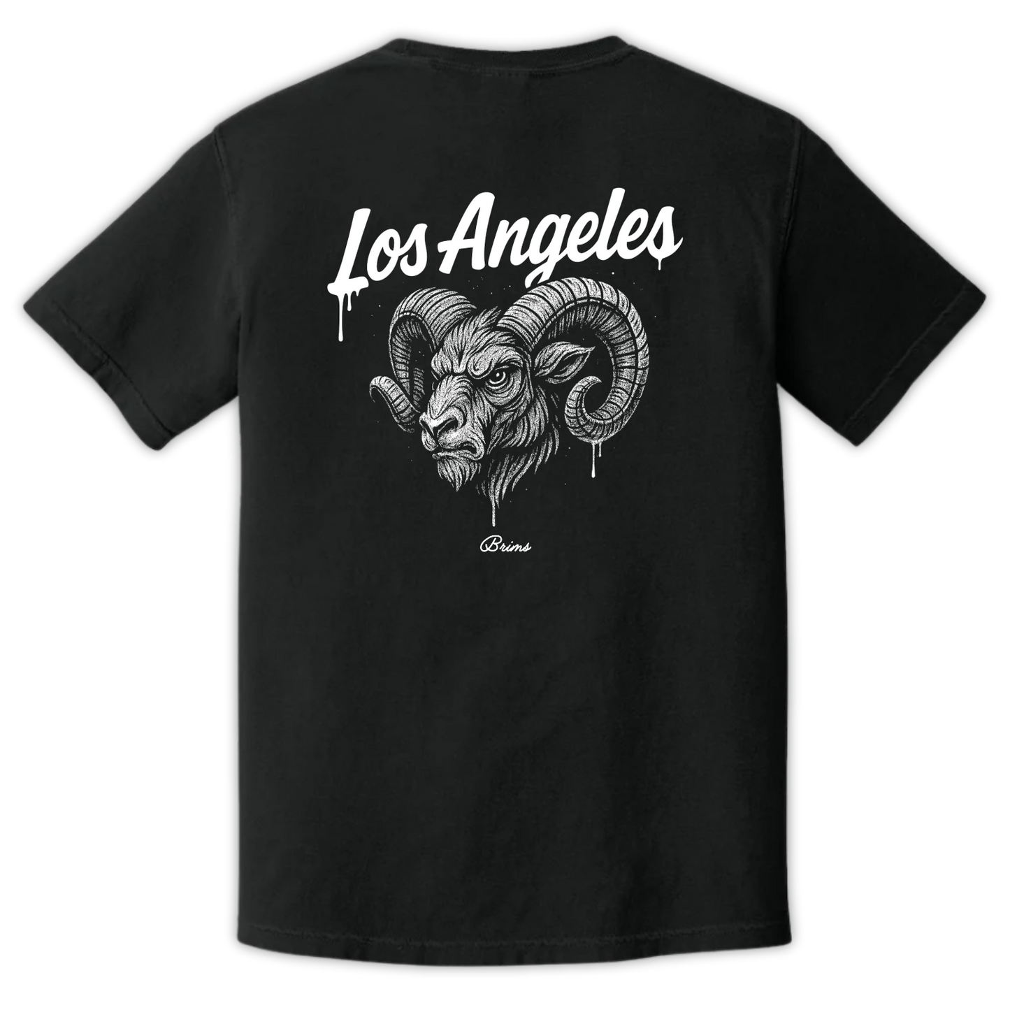 Los Angeles - Gridiron City