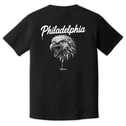 Philadelphia - Gridiron City