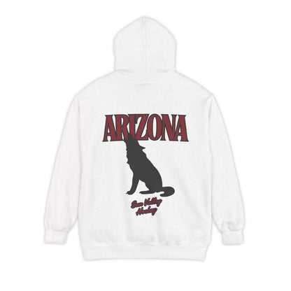 City Ice - Arizona Hockey