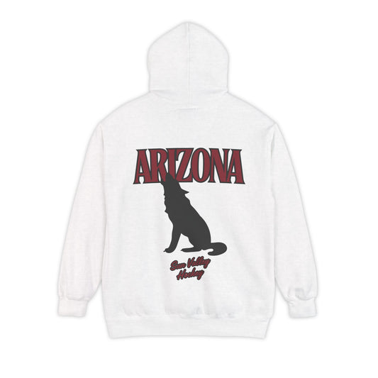 City Ice - Arizona Hockey