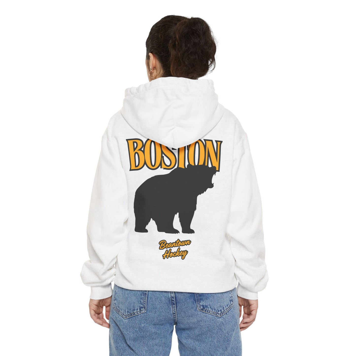 City Ice - Boston Hockey