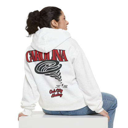 City Ice - Carolina Hockey