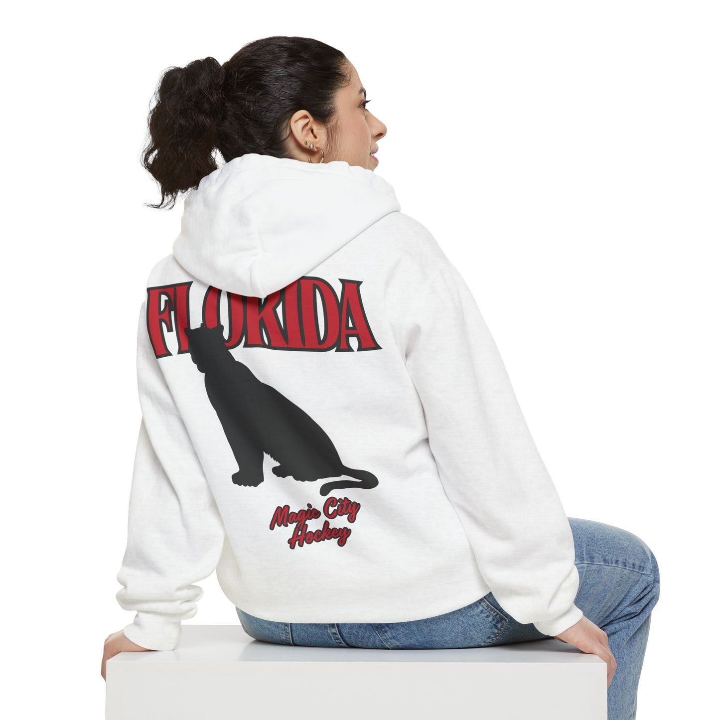 City Ice - Florida Hockey