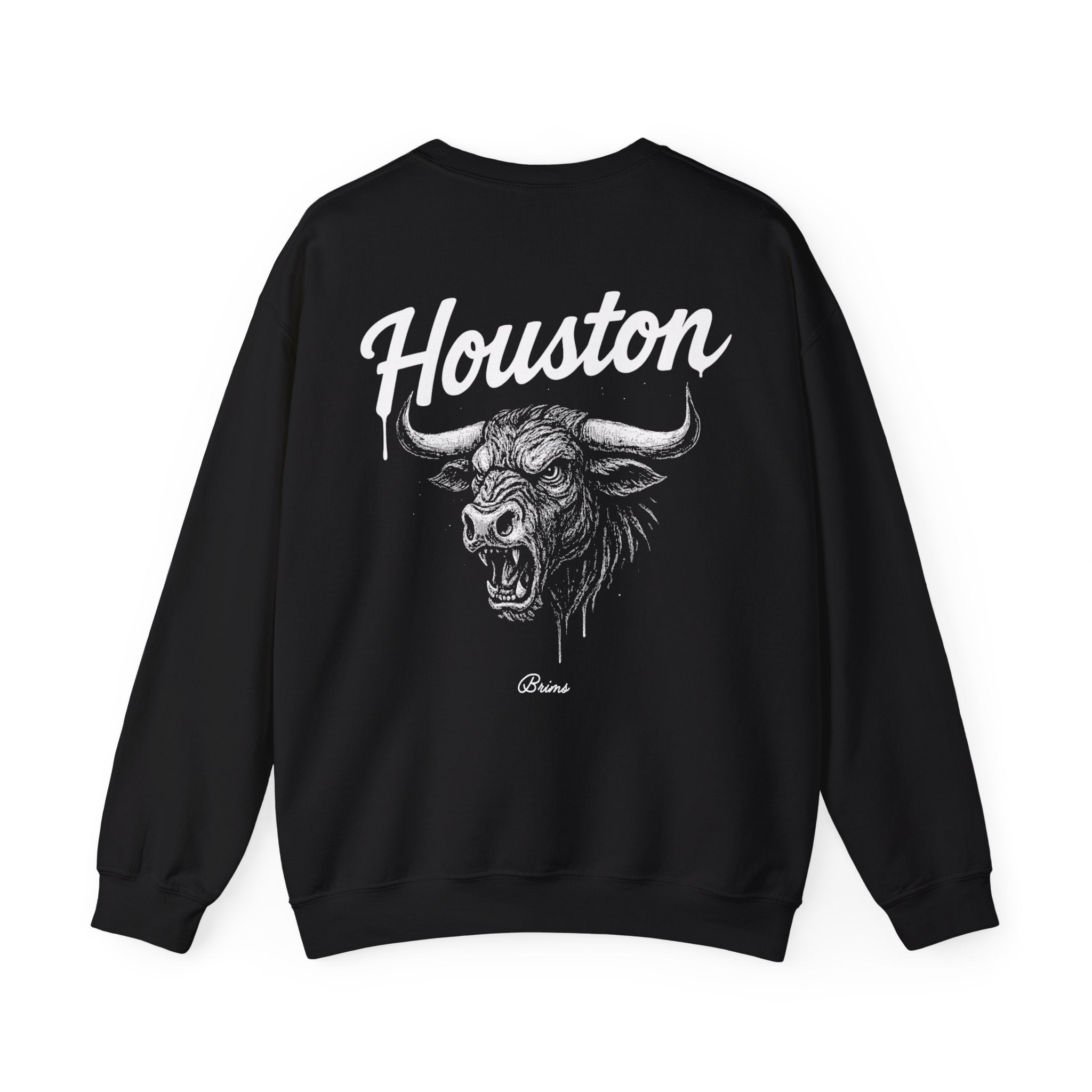 Gridiron City - Houston