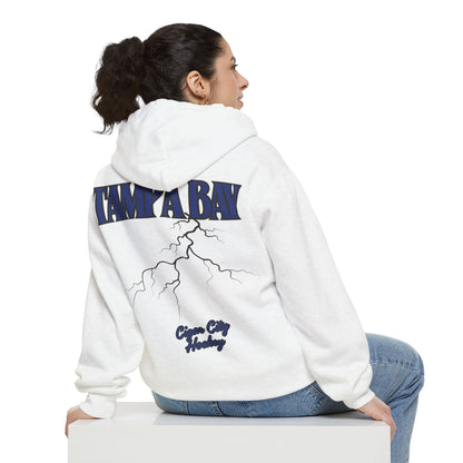 City Ice - Tampa Bay