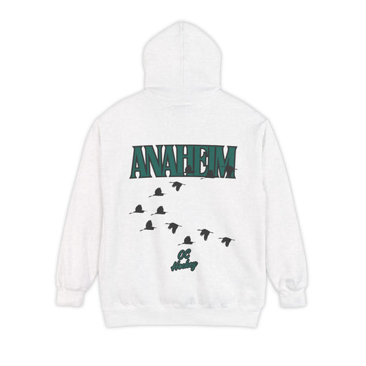 City Ice - Anaheim Hockey