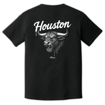 Houston - Gridiron City