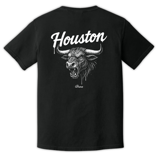 Houston - Gridiron City