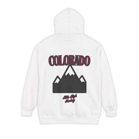 City Ice - Colorado Hockey