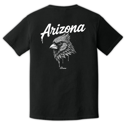 Arizona - Gridiron City