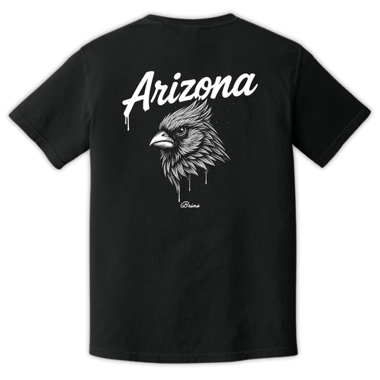 Arizona - Gridiron City