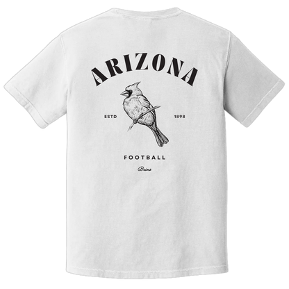Arizona - Hometown Classic