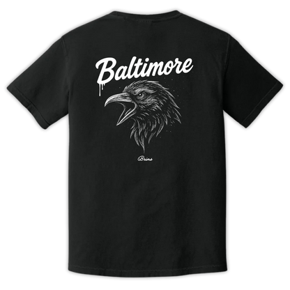 Baltimore - Gridiron City