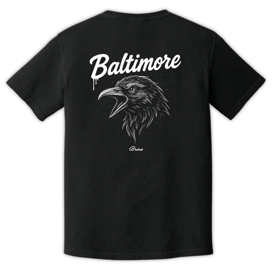 Baltimore - Gridiron City