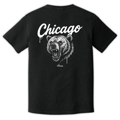 Chicago - Gridiron City