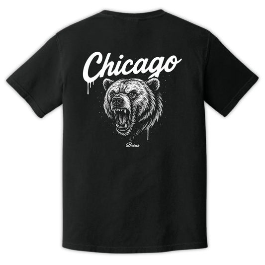 Chicago - Gridiron City