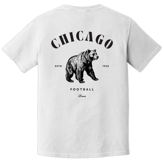 Chicago - Hometown Classic