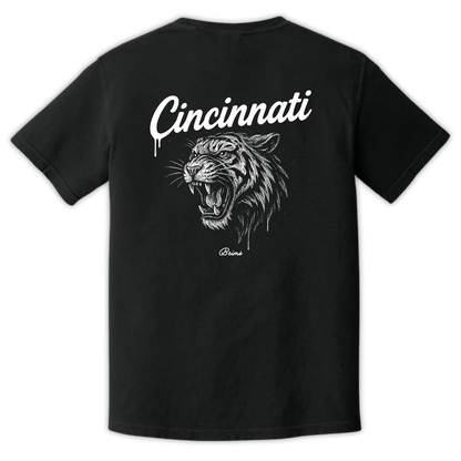 Cincinnati - Gridiron City