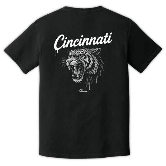 Cincinnati - Gridiron City