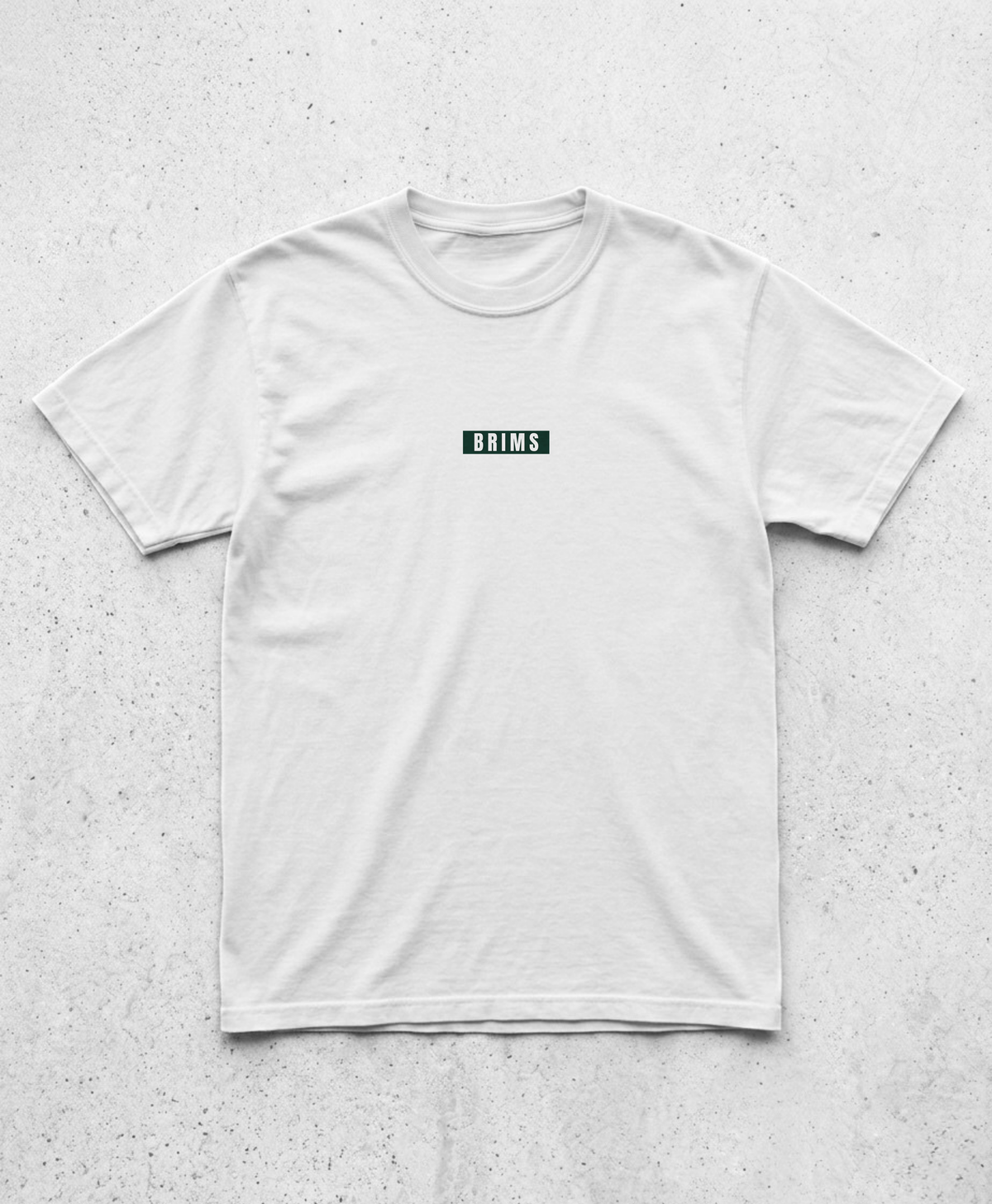 EAST LANSING DRIP TEE