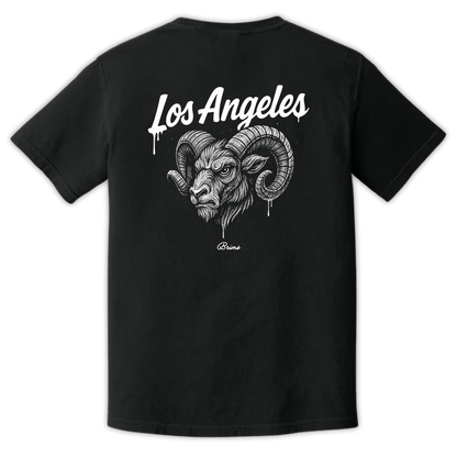 Los Angeles - Gridiron City
