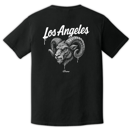 Los Angeles - Gridiron City